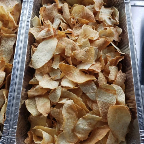 tropicalinternationalflavor_1681066244_3077329156971464340_43888470142