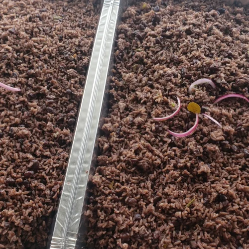 tropicalinternationalflavor_1681066244_3077329156971618656_43888470142